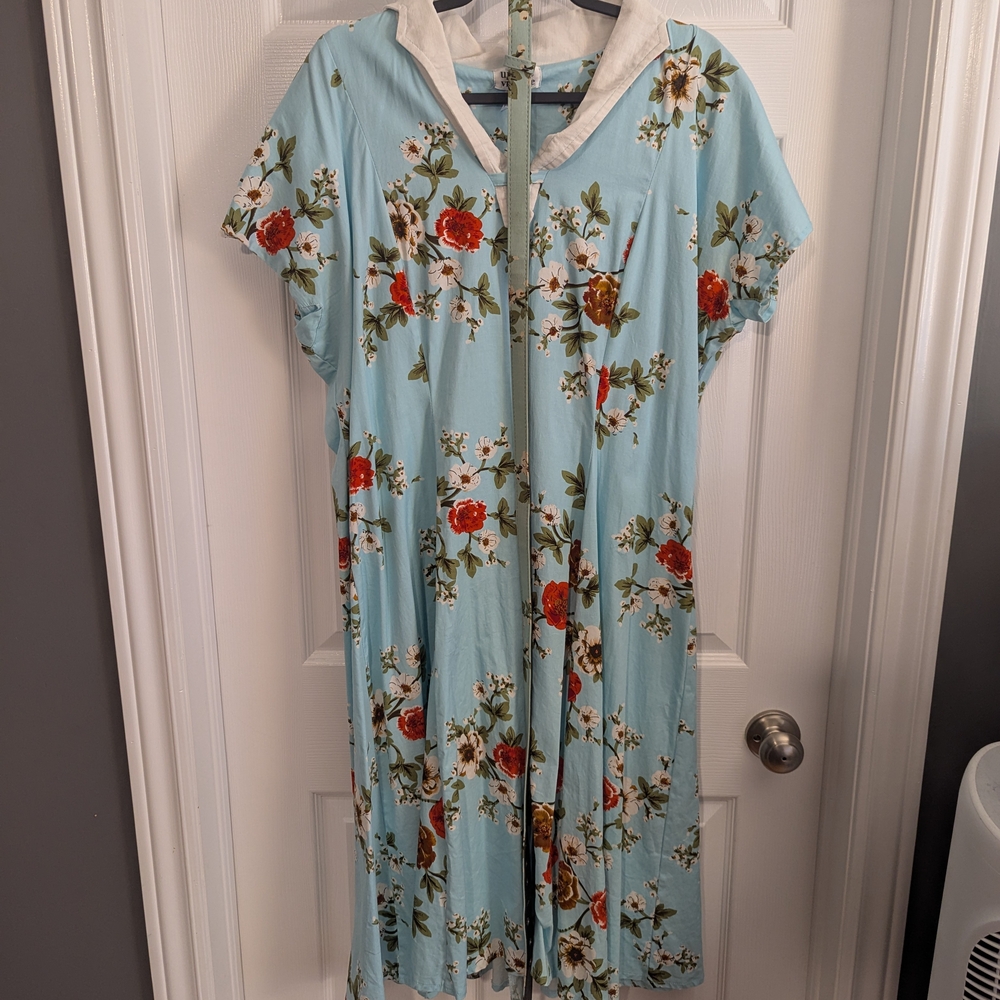 Unique Vintage Light Blue Floral Midi Dress with Red and Cream Accents